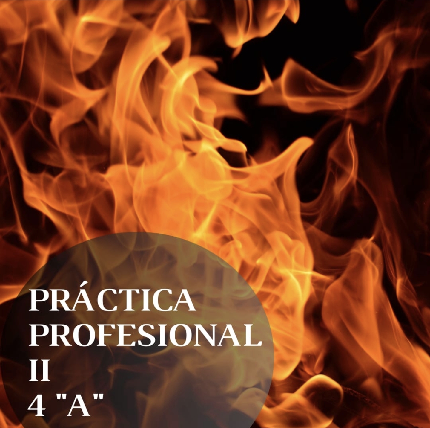 Práctica Profesional II - COM. "A" - Lic. Fanny Rojas 