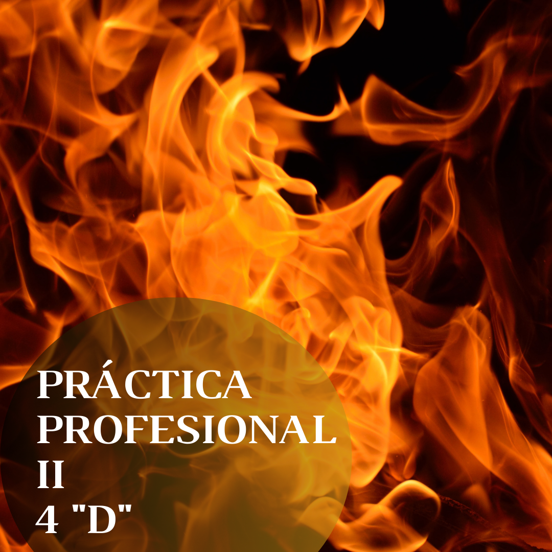 Práctica Profesional II - COM. "D" - Lic. Fanny Rojas 